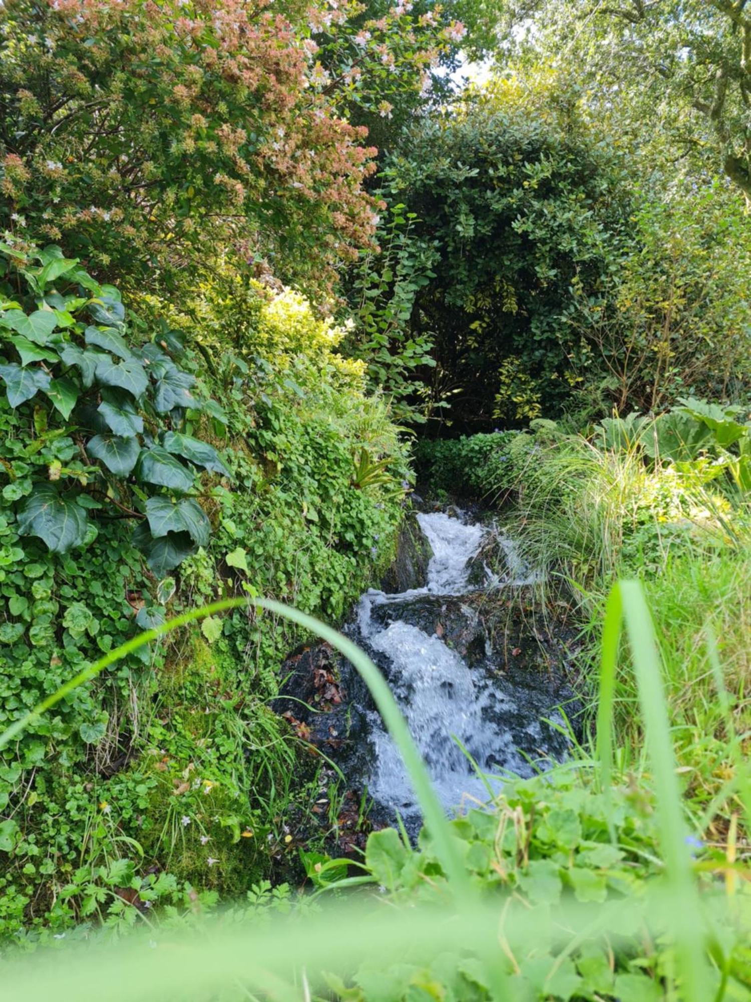 Willa Moulin De Bonnescat Plogonnec Zewnętrze zdjęcie